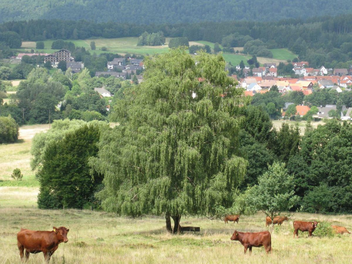 Fewo Hage Langelsheim Exterior foto